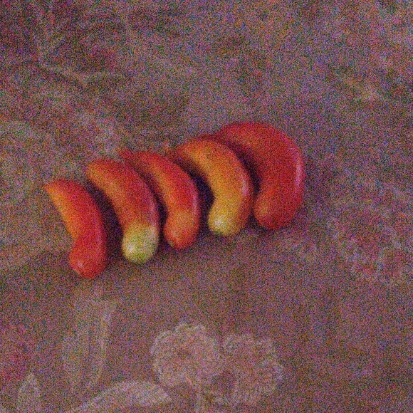 Meet your Posher, Syeda - Picture 1 of 1